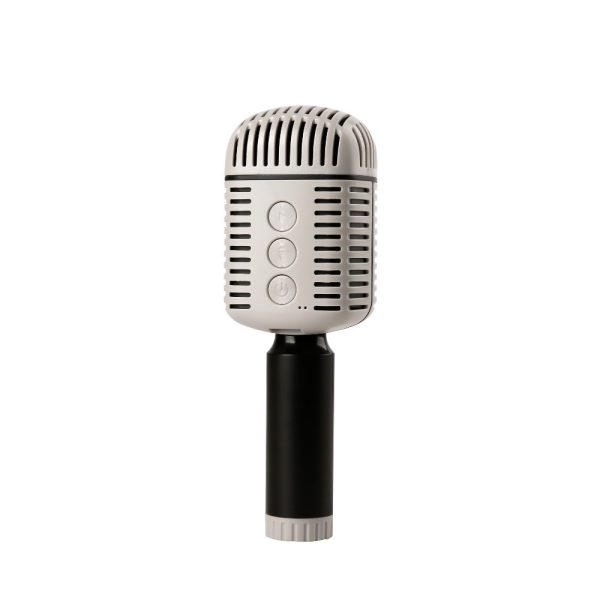 Karaoke Microphone, Speaker - Image 3