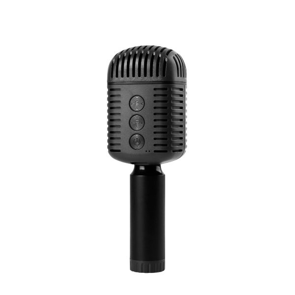 Karaoke Microphone, Speaker - Image 8